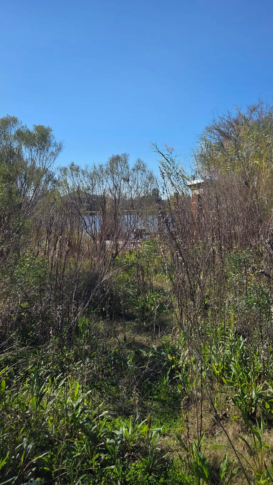 4335 Jean Lafitte Boulevard, Lafitte, LA 70067 - Image #3