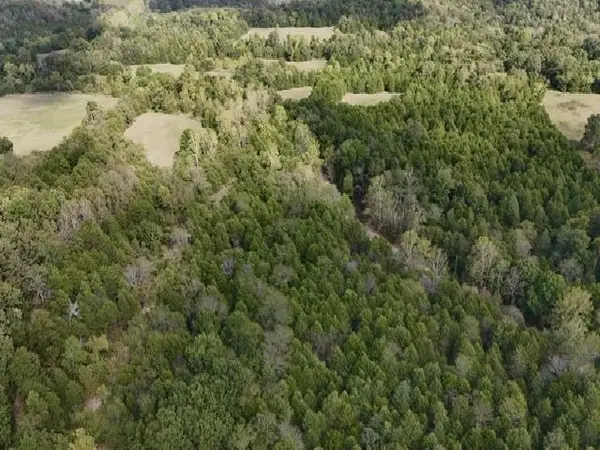 TBD N Hwy 289, Ash Flat, AR 72513