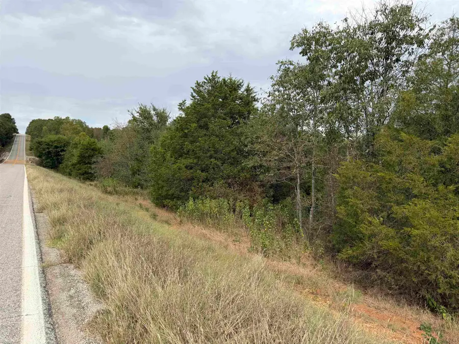 TBD N Hwy 289, Ash Flat, AR 72513 - #2