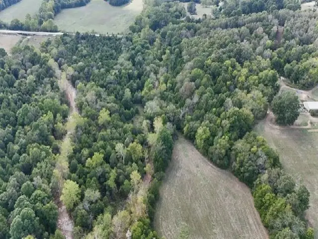 TBD N Hwy 289, Ash Flat, AR 72513 - #3