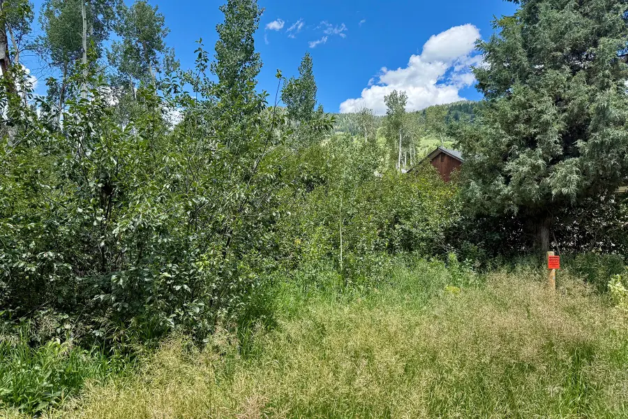 LOT 5 North Forest Dr, Star Valley Ranch, WY 83127 - #3