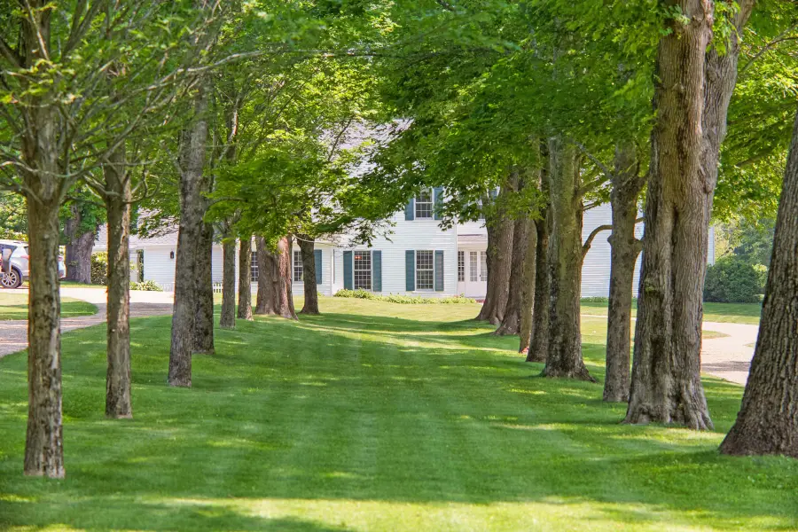 31 Lambert's Cove Rd., Tisbury, MA 02568 - #2