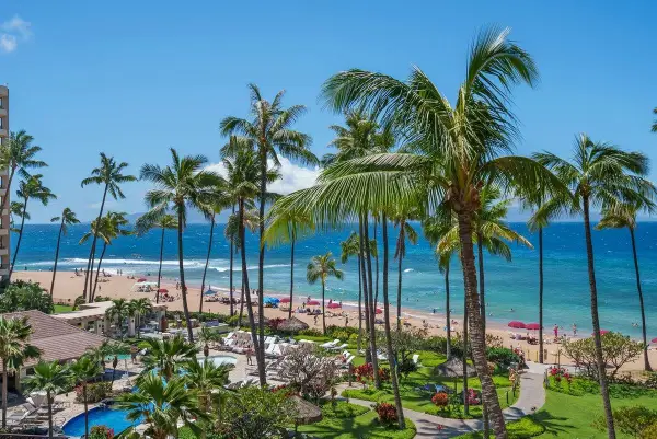 50 Nohea Kai Dr #1-502, Lahaina, HI 96761