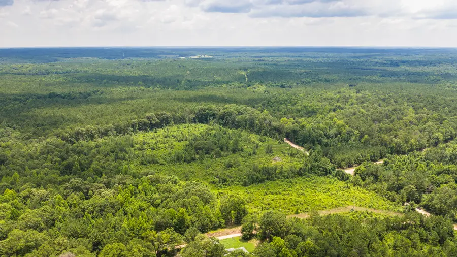 4105 County Road 22, Waverly, AL 36879 - #2