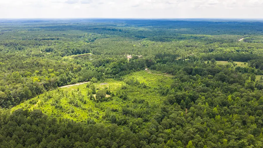 4105 County Road 22, Waverly, AL 36879 - #3