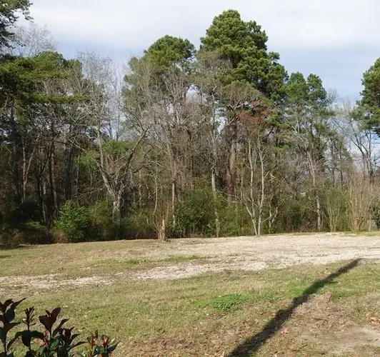 208 Pearl Street, Center, TX 75935 - #3