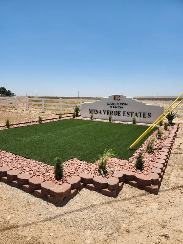 Lot 10B Road Runner Ridge Road, Carlsbad, NM 88220