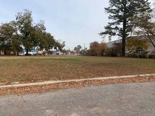 Tbd Church Street W, Ahoskie, NC 27910 - Image #1