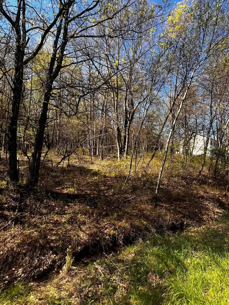 lot 5916 Wild Laurel Drive, Long Pond, PA 18334 - Image #2