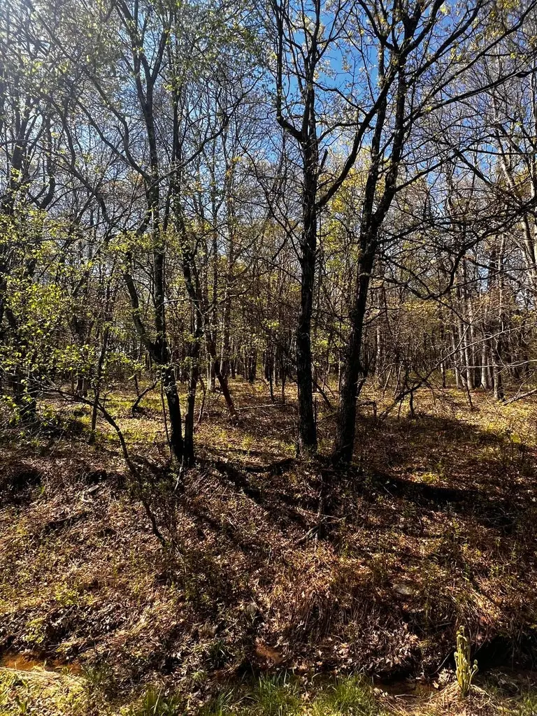 lot 5916 Wild Laurel Drive, Long Pond, PA 18334 - Image #3