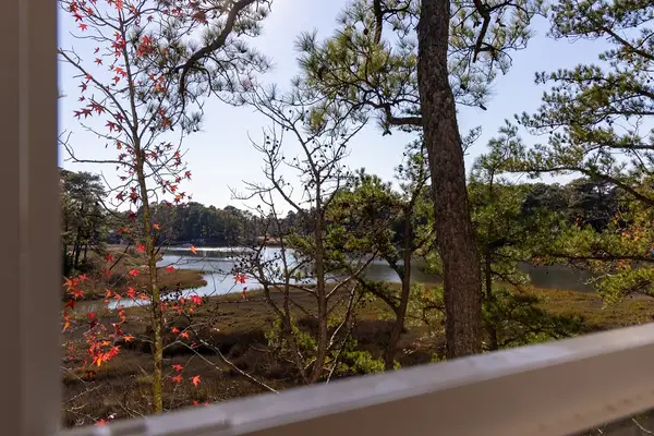393 River Forest Road, Virginia Beach, VA 23454