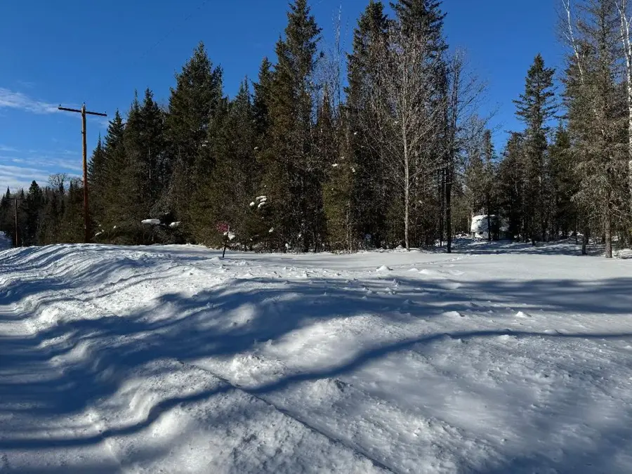 4074W Weber Rd, Mercer, WI 54547 - #2