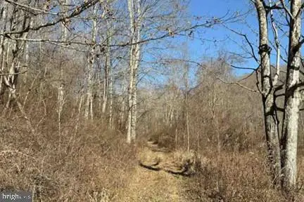 Lot 5, 34.53 Acres Lick Creek, Meadow Bridge, WV 25966 - #1
