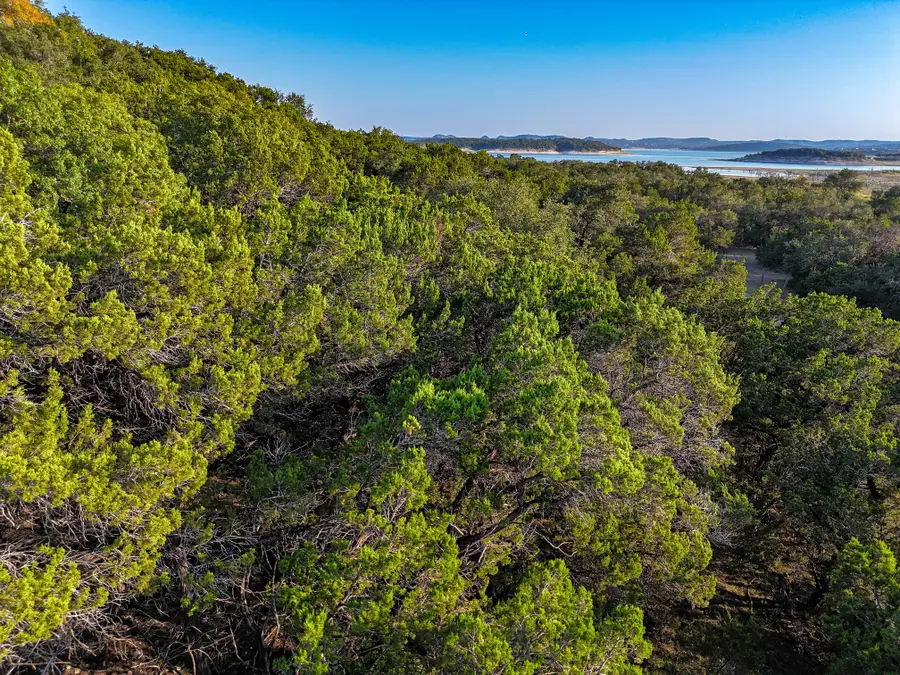 1155 Hancock Road, Canyon Lake, TX 78133 - #2