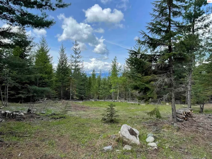 900 Rising Hawk Ridge, Sandpoint, ID 83864 - #3