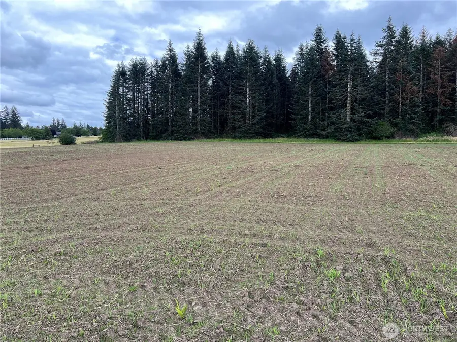 0 Se 303 Ave #9 Martin Barber DLC 51.10A, Washougal, WA 98671 - Image #3