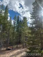 180 Peak View Drive, Leadville, CO 81251 - Image #2