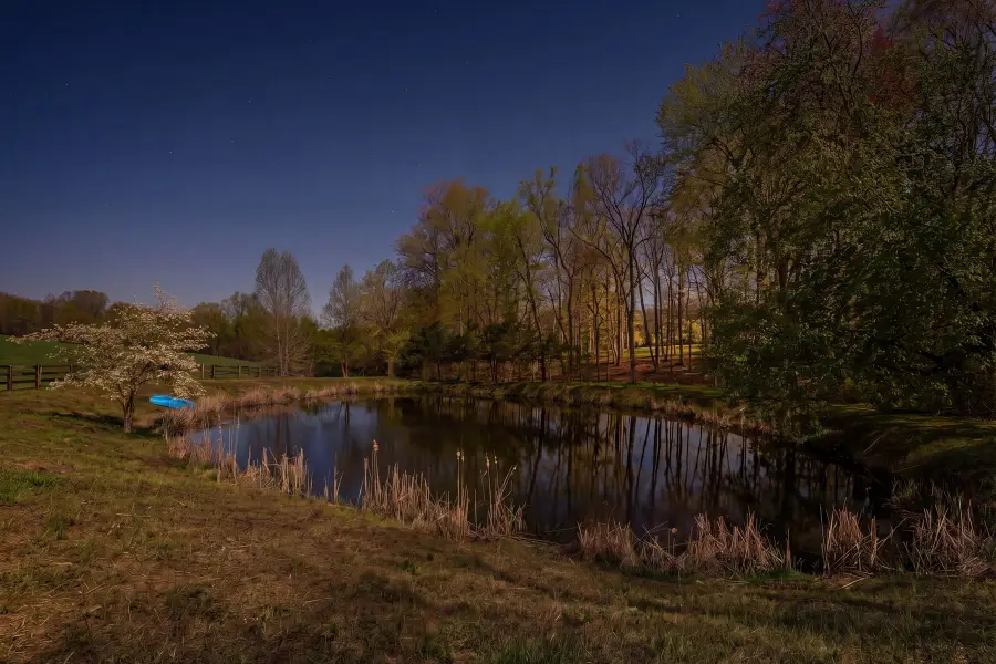 9529 Sperryville Pike, Culpeper, VA 22701 - #3