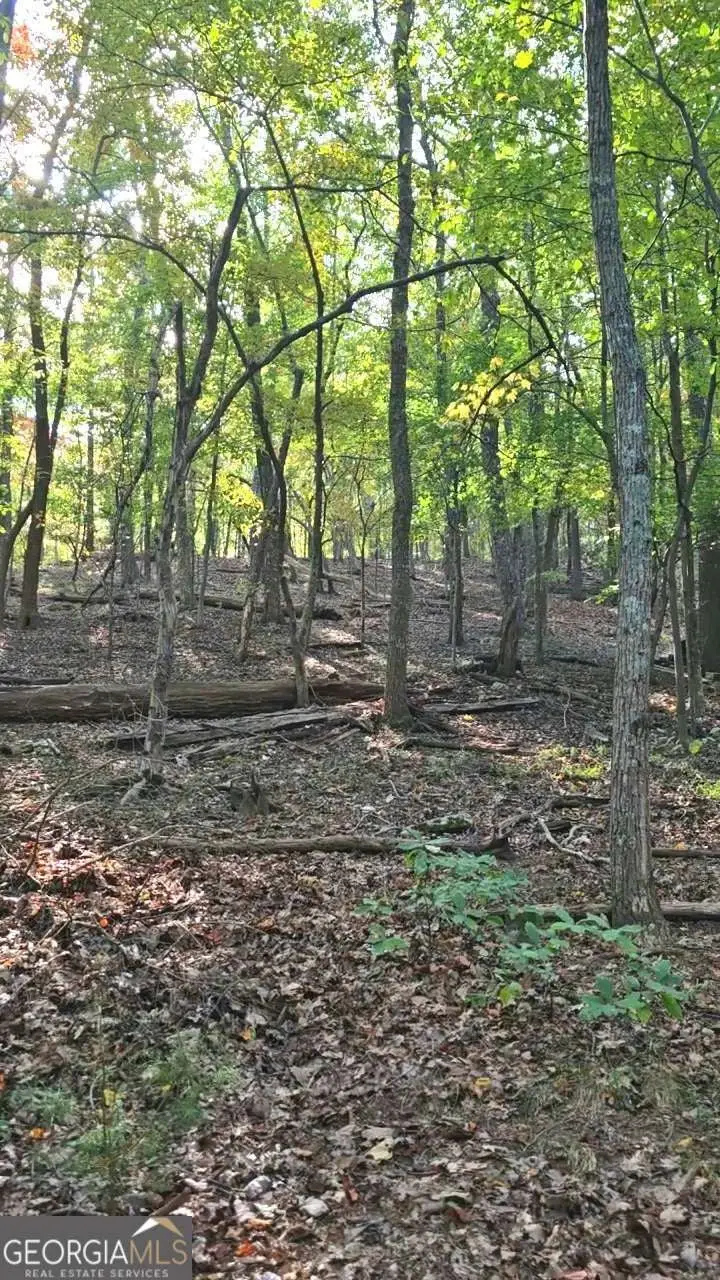 315 Windflower Drive, Big Canoe, GA 30534 - Image #1