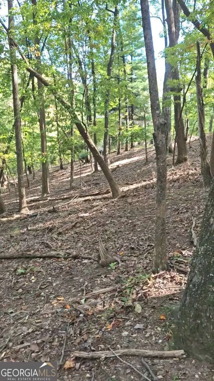 315 Windflower Drive, Big Canoe, GA 30534 - Image #2