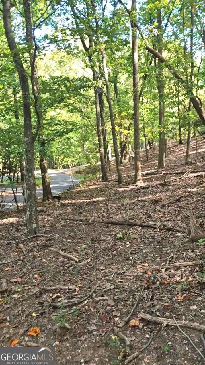 315 Windflower Drive, Big Canoe, GA 30534 - Image #3