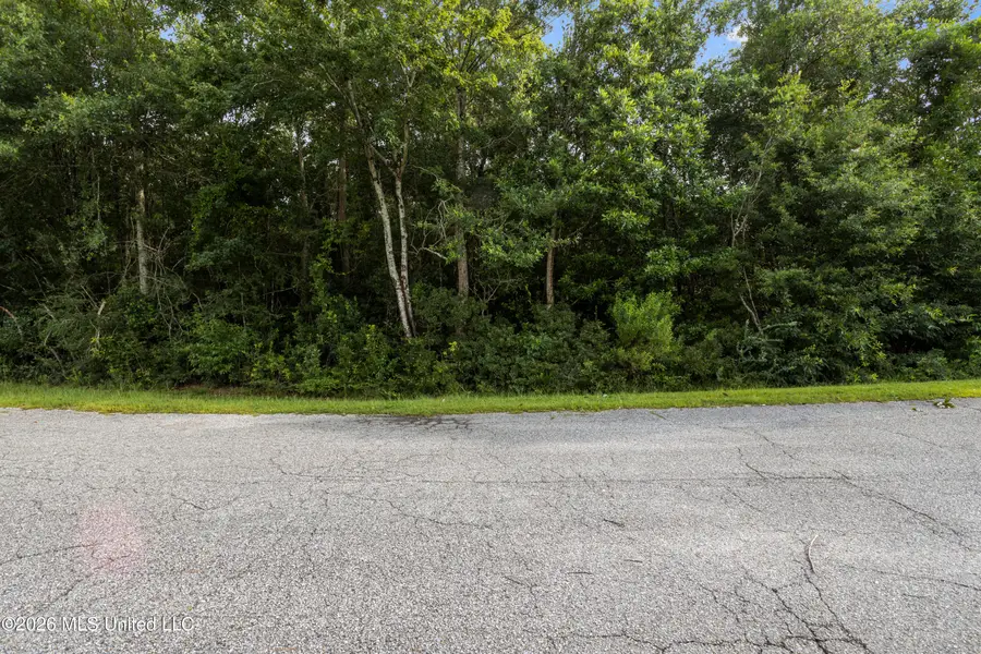 Spring Briar Trail, Saucier, MS 39574 - #2