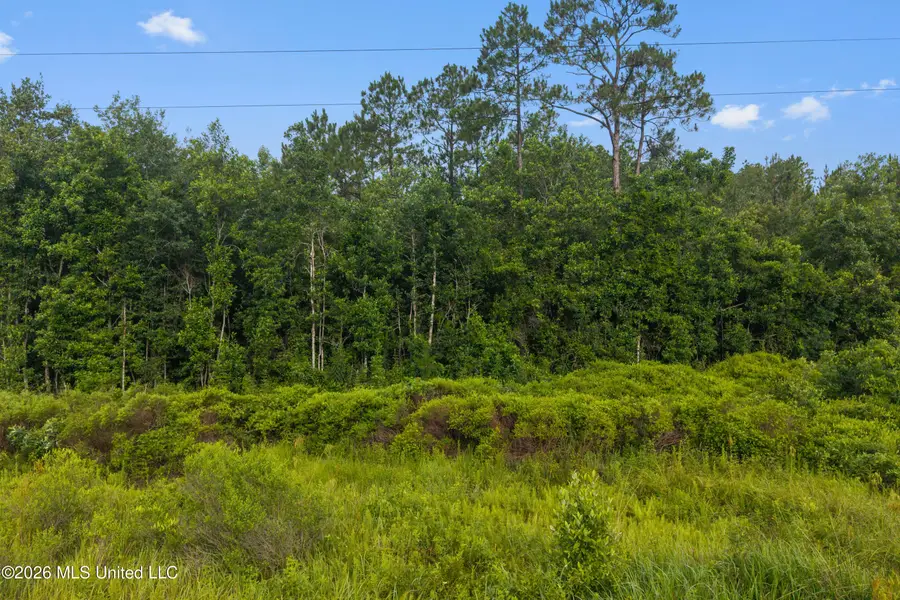 Spring Briar Trail, Saucier, MS 39574 - #3