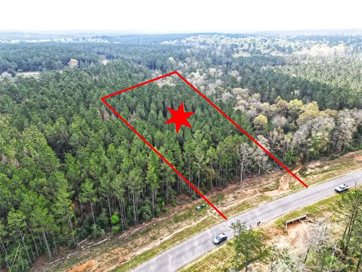 15871 Ridge Oak Road, Willis, TX 77378 - #1