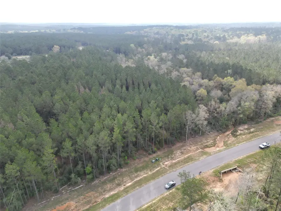 15871 Ridge Oak Road, Willis, TX 77378 - #2