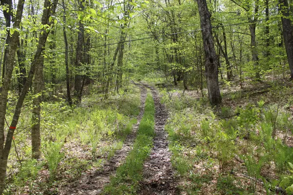 00 Long Hill Road, Woodstock, VT 05091