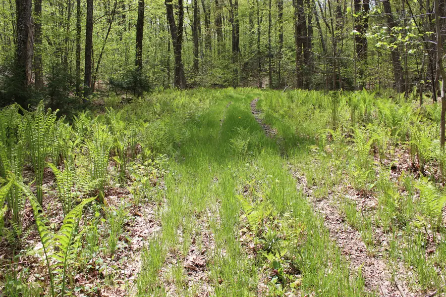 00 Long Hill Road, Woodstock, VT 05091 - #2