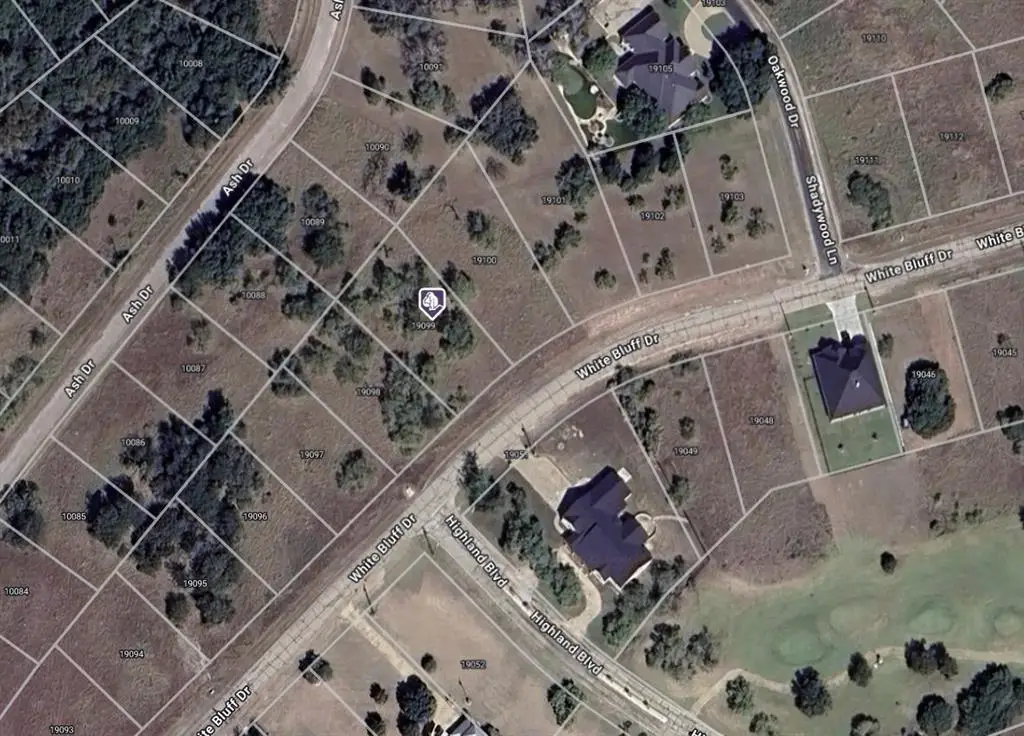 19099 White Bluff Drive, Whitney, TX 76692 - Image #1