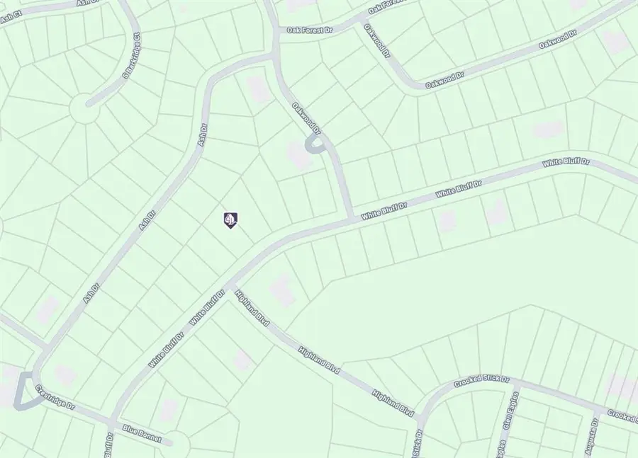 19099 White Bluff Drive, Whitney, TX 76692 - Image #3