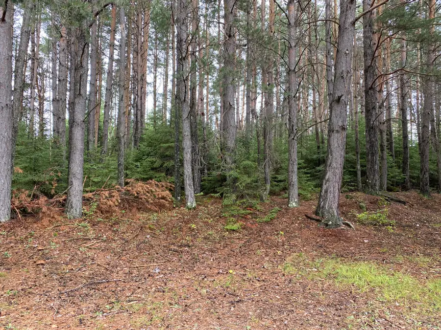 40 AC On Margaret Lake Rd, Three Lakes, WI 54562 - Image #2