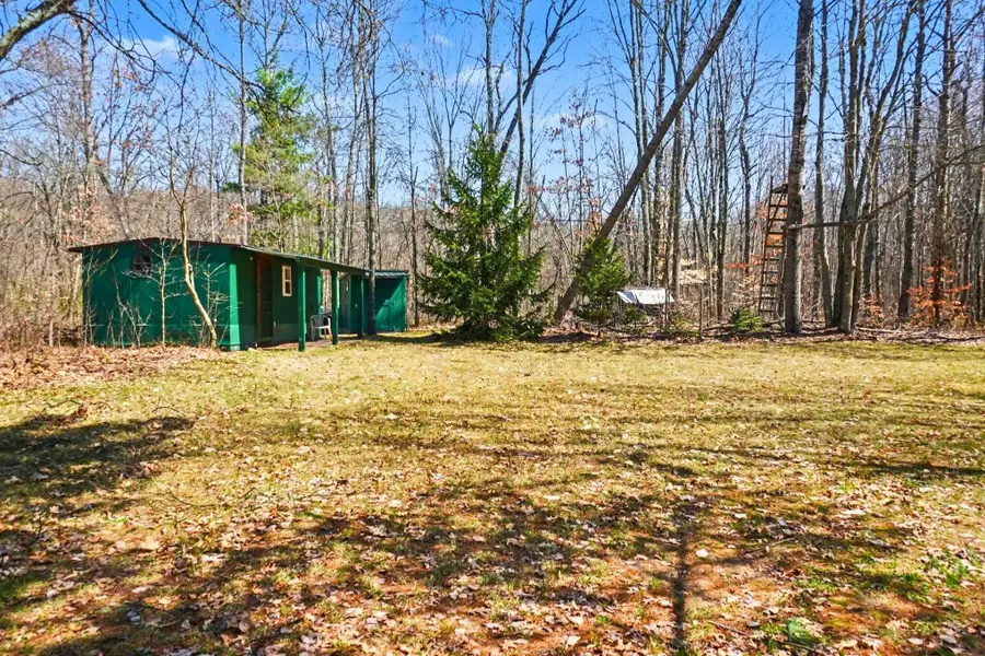 VL N Pine Avenue, Big Rapids, MI 49307 - #3