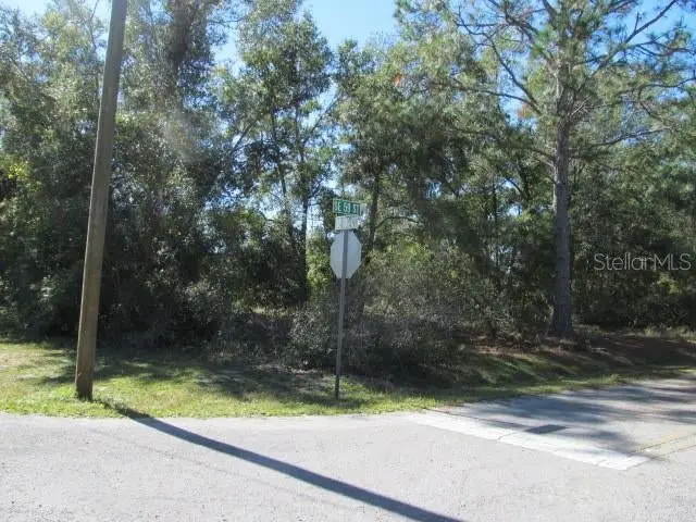 00 SE 169th Court, Ocklawaha, FL 32179 - Image #2