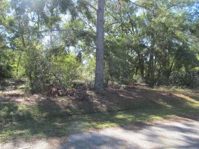 00 SE 169th Court, Ocklawaha, FL 32179 - Image #3