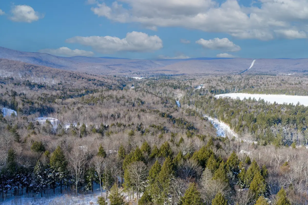 56 Lower Taylor Hill Road, Winhall, VT 05340 - #1