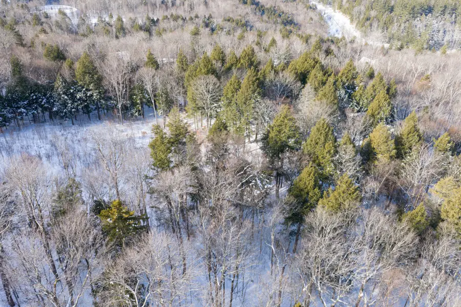 56 Lower Taylor Hill Road, Winhall, VT 05340 - #3