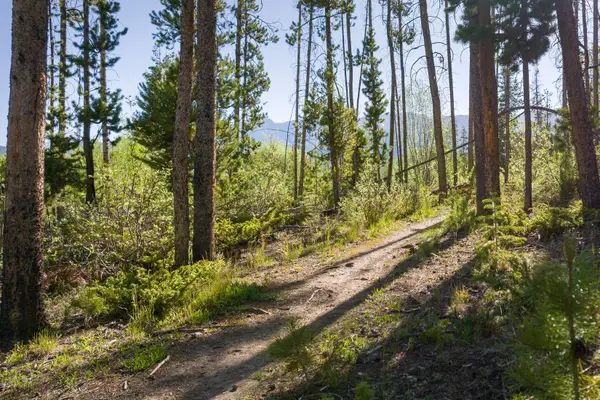 tbd Cranmer Avenue, Fraser, CO 80442