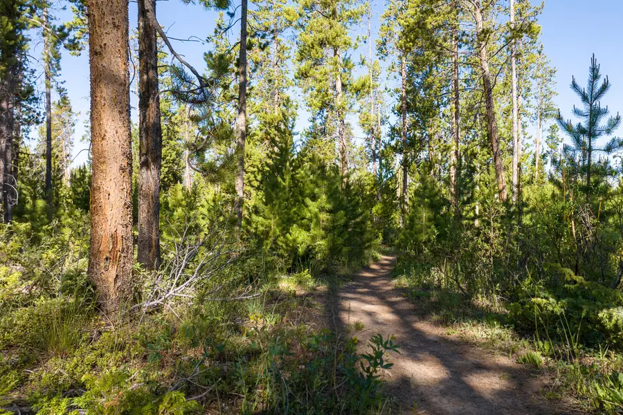 tbd Cranmer Avenue, Fraser, CO 80442 - #2