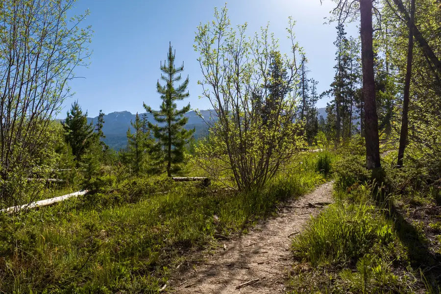 tbd Cranmer Avenue, Fraser, CO 80442 - #3