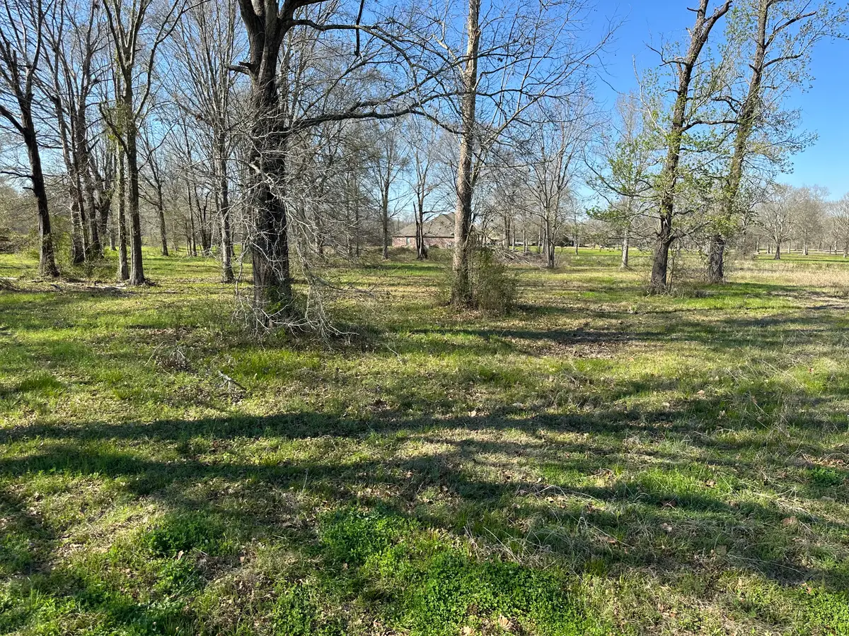 11344 Rosedale Rd, Port Allen, LA 70767 - #1