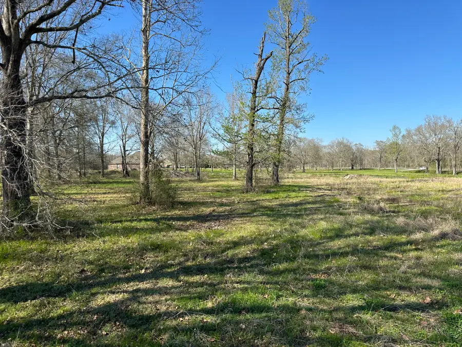 11344 Rosedale Rd, Port Allen, LA 70767 - #2