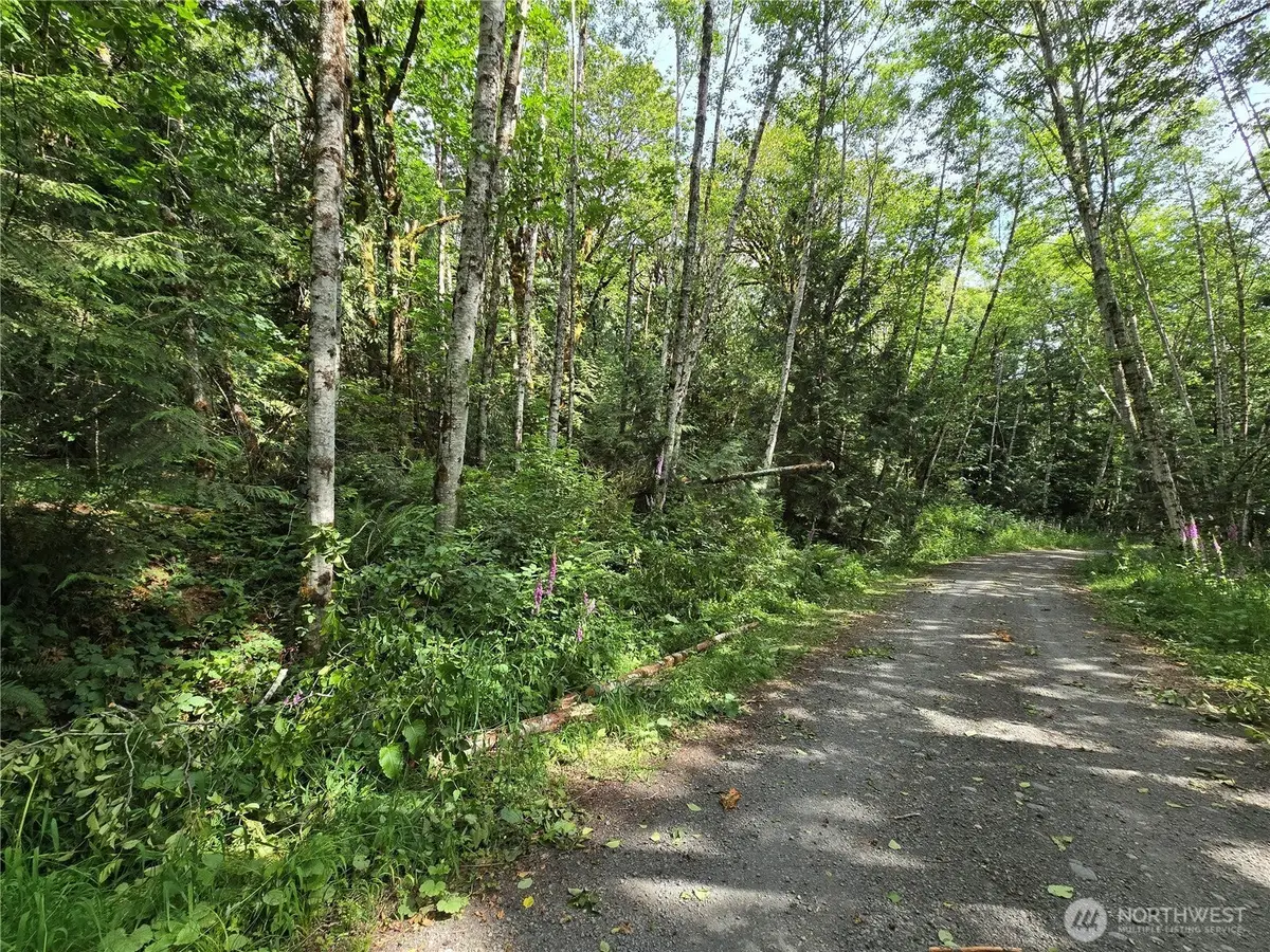 0 Triton Heights Road, Lilliwaup, WA 98555 - #1