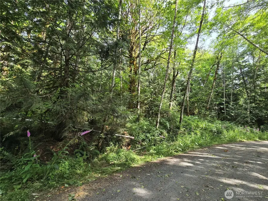 0 Triton Heights Road, Lilliwaup, WA 98555 - #3