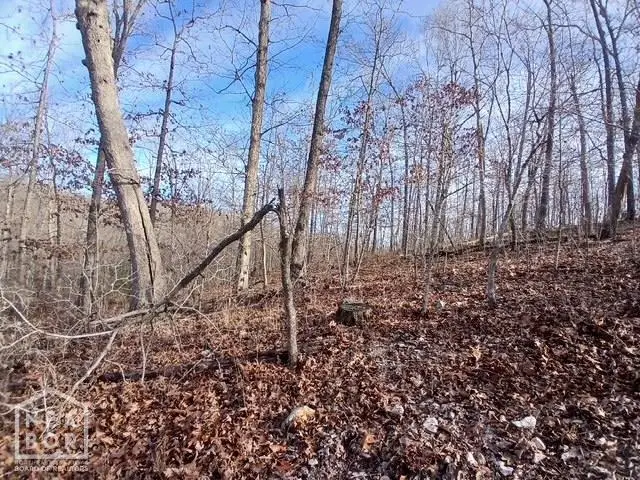 1 E Wirth Rd #Tract, Ravenden, AR 72459 - #2