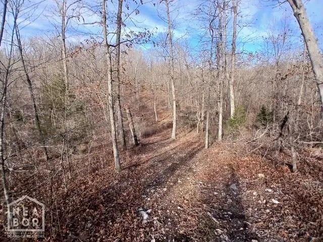 1 E Wirth Rd #Tract, Ravenden, AR 72459 - #3