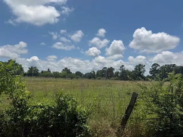 Tract 3 CR 2168, Troup, TX 75789 - #1
