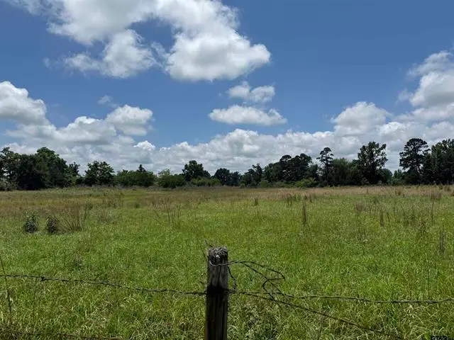 Tract 3 CR 2168, Troup, TX 75789 - #3